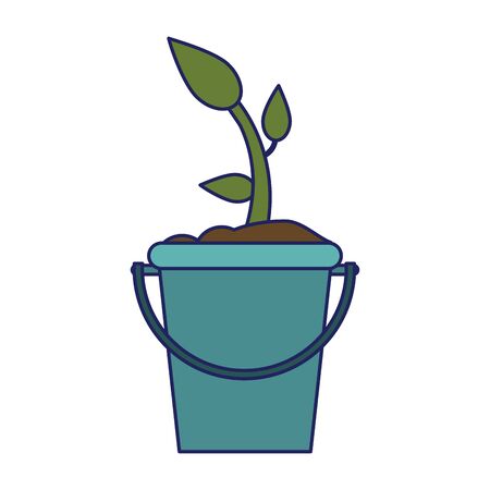植え替えに適した時期とサイン