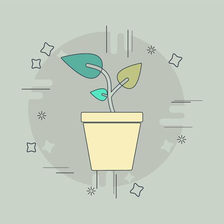 苔の種類と選び方