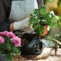 土壌診断から始めるベストな肥料設計