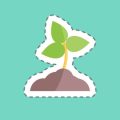 観葉植物のための正しい鉢底石と受け皿の選び方と活用方法