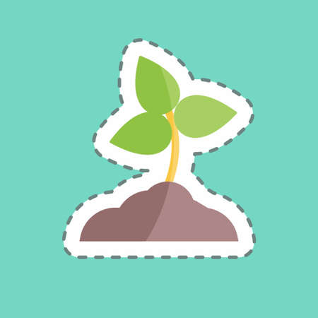 観葉植物のための正しい鉢底石と受け皿の選び方と活用方法