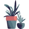 おもてなしの心を伝えるエントランス寄せ植えアイデア