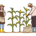 農薬に頼らないナチュラルな害虫対策と虫たちとの共存