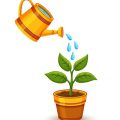 多肉植物・サボテンの日本式水やり管理法