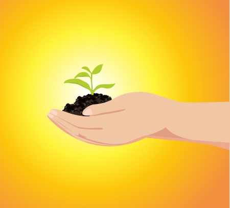 観葉植物に適した受け皿の素材とデザイン