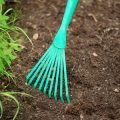ウイルス病に感染した植物の管理と回復への選択肢