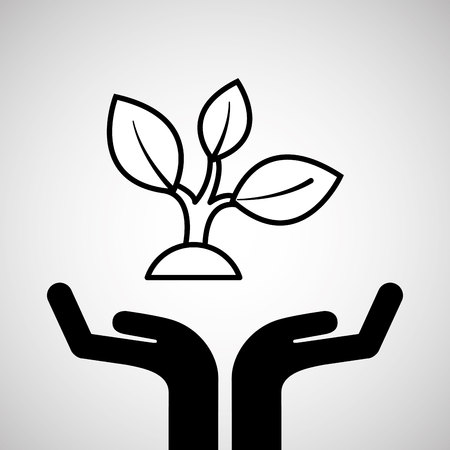 四季を感じる水辺の植物配置アイデア