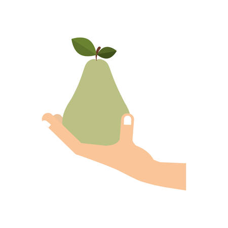 和のテイストを感じる植物の提案