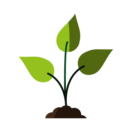 空間の活用術と植物療法への応用