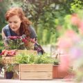 長持ちする寄せ植えのメンテナンス方法とコツ