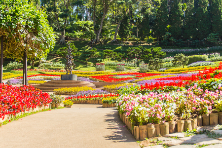 日本の公園風ガーデンに見る花壇・寄せ植えの事例と解説