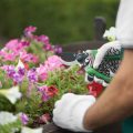 においや虫対策の徹底ガイド：日本の住環境に合わせた工夫