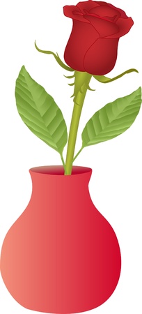 日本の住宅事情に合わせた室内での観葉植物の水やり・世話のポイント