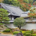 日本住宅の北側・南側のガーデニング成功術と植物提案