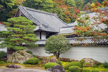 日本住宅の北側・南側のガーデニング成功術と植物提案