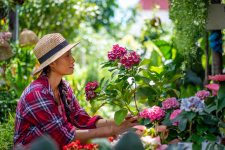 肥料と病害虫の関係：健やかな植物を育てるコツ