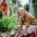 日照不足の悩みを解決！明るさを補う工夫とおすすめ植物