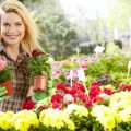 伝統行事にあわせた和の花壇と配色の工夫