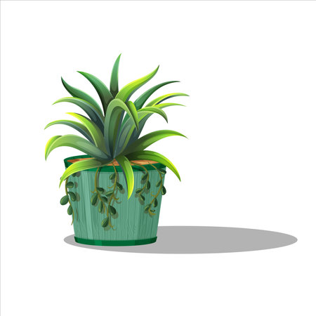和風鉢や陶器を使った日本らしい観葉植物の飾り方と風水の秘訣