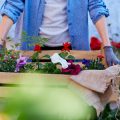 四季を感じる苔と石の庭：季節ごとの手入れと楽しみ方