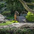石橋の設計と歴史的背景：日本庭園のアクセントとしての役割
