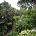 北欧風ベランダ園芸：シンプル収納と植物レイアウトの作り方