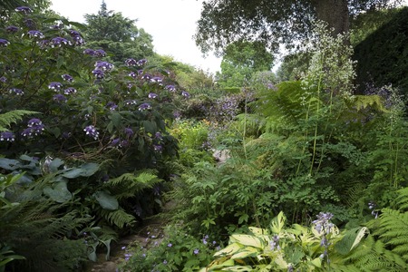 北欧風ベランダ園芸：シンプル収納と植物レイアウトの作り方