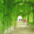 失敗しない！家庭菜園プランターの水やりと排水のコツ