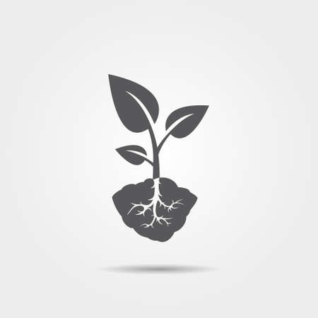 家族が集う空間作り！ベランダ動線を活かした植栽配置術