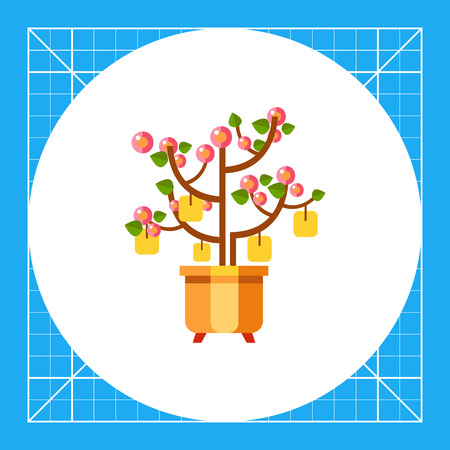 初心者におすすめの冬咲き植物ガイド
