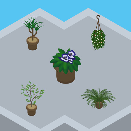 寄せ植えの魅力とデザイン事例