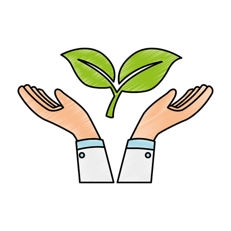 在来植物の選定と多様性の重視