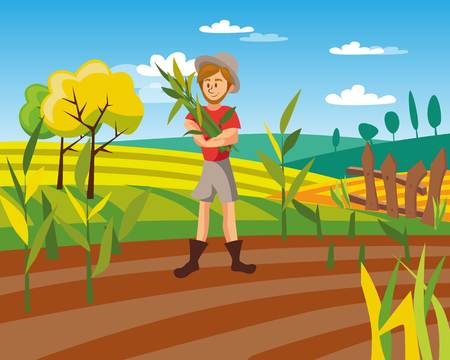 日照好き観葉植物の置き場所選びとインテリア活用法
