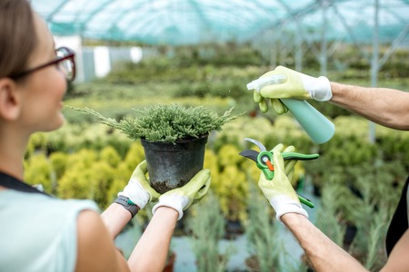 園芸場におけるミミズと他害虫の違い、適切な管理法