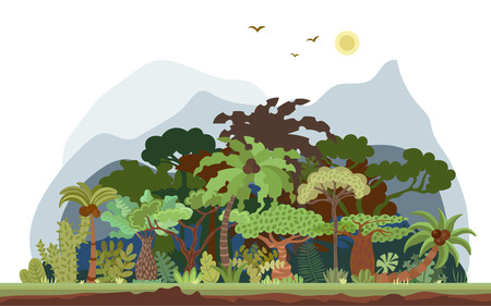 おすすめの植物セレクション