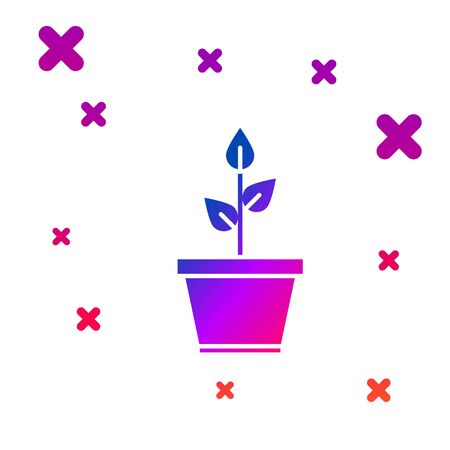 鉢から植物を優しく取り出す方法