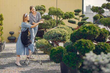 こだわりの和風ガーデンを作るための日当たり別植栽術