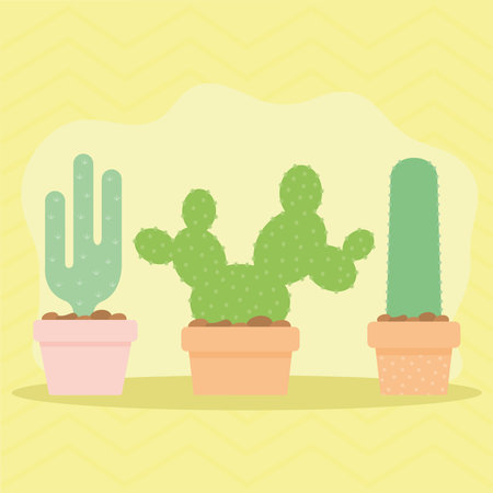 観葉植物への肥料の正しい与え方