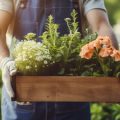 DIYで叶える！おしゃれな見せる収納家具と植物棚を作る方法