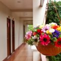 玄関先を彩る寄せ植え：カラーコンビネーションのアイディア集