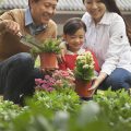家族と楽しむ！日当たりを生かしたキッズガーデンの植物選びと安全対策