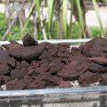 赤玉土・黒土・鹿沼土…日本独特の園芸用土の種類と用途を詳しく解説