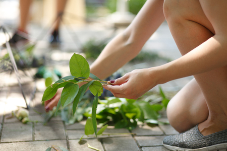 ペットや小さな子供と暮らす家で安全な観葉植物の管理