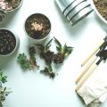 在来植物ガーデンのデザインアイデア集