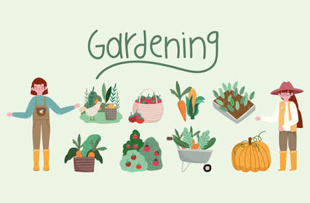 吊り下げ植物で作る癒しのインテリア空間