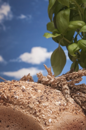 味噌や醤油粕の再利用によるエコガーデニング病害虫対策