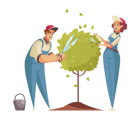 植物ごとの育て方のポイント