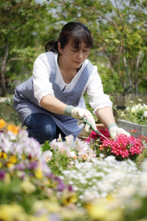 日本の伝統的な知恵を活かした家庭菜園の病害虫対策