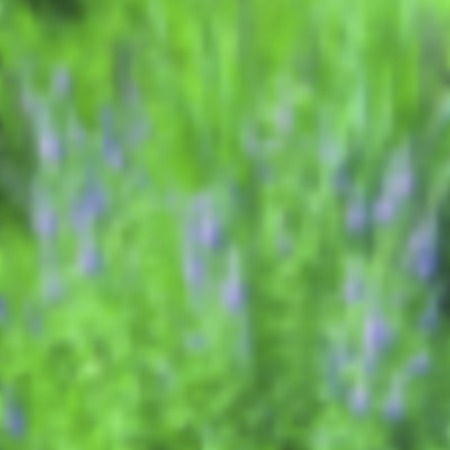 花壇と調和する植栽デザインのコツ