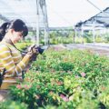 ベランダ園芸で人と植物が心地よく過ごせる快適空間のつくり方